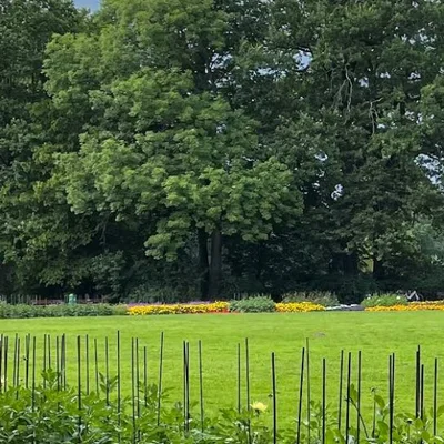 Clara-Zetkin-Park | Treffpunkt: Galopprennbahn Scheibenholz